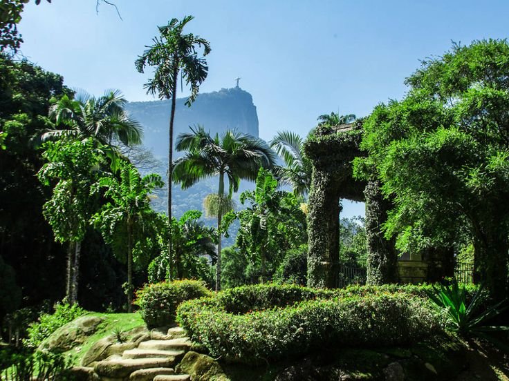 Roteiro para aproveitar o Rio de Janeiro em 3 dias 5 jardim botânico do rio de janeiro