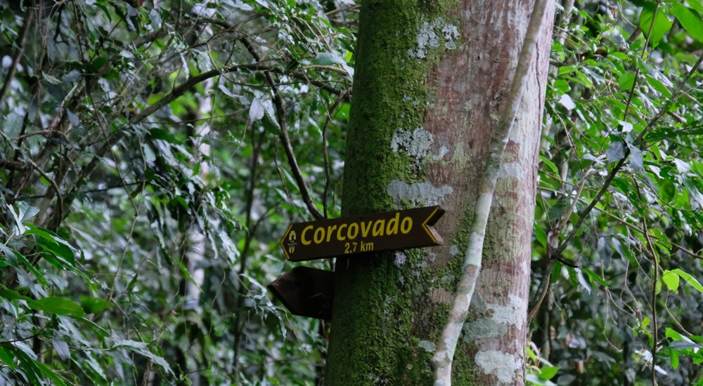 Como chegar ao Cristo Redentor no Rio de Janeiro? 5 Trilha da Floresta da Tijuca, placa indicando que o corcovado está a 2,7 km.