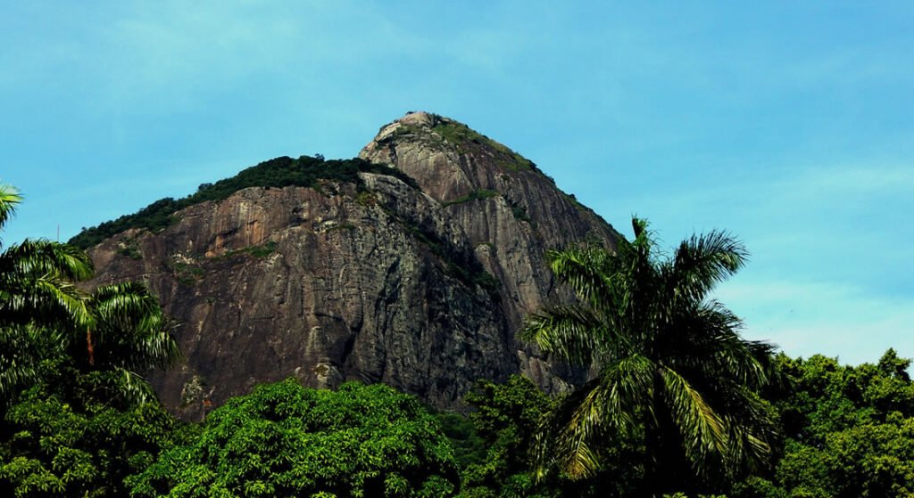 A Pedra da Gávea: Uma Aventura Imperdível no Rio de Janeiro 4 Floresta da Tijuca e Pedra da Gávea.