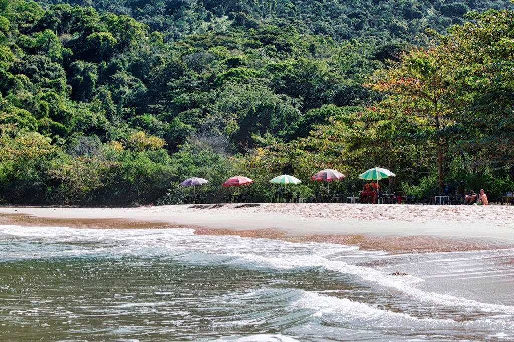 O Que Fazer em Paraty: Um Guia Completo para Sua Viagem 4 Praia, pessoas na praia de Paraty