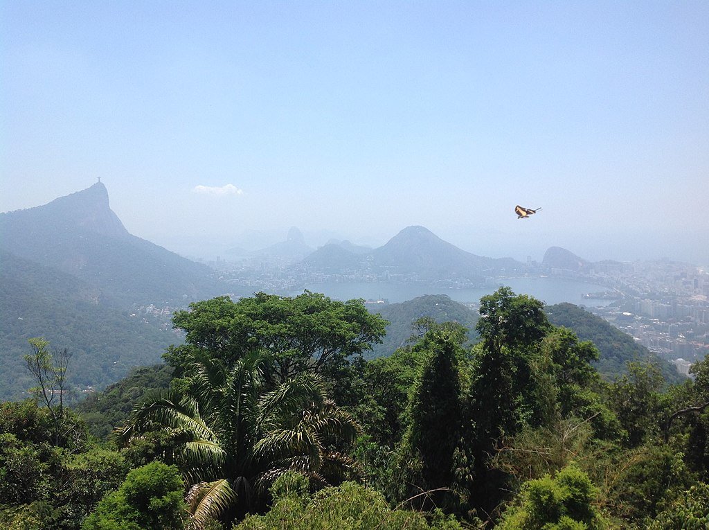 O que Fazer no Parque da Tijuca: Trilhas, Mirantes e Cachoeiras 2 Vista do corcovado, foto tirada de dentro da floresta da Tijuca.