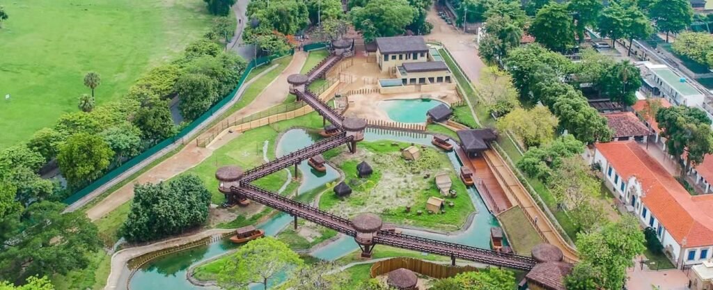 BioParque do Rio: Tudo o que você precisa saber antes de visitar 2 bioparque capa