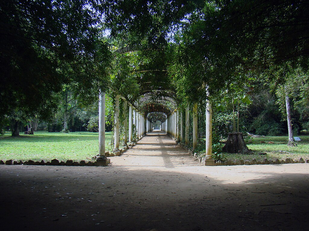Guia Completo do Jardim Botânico do Rio de Janeiro 4 Dentro do Jardim Botânico, Rio.