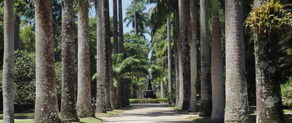Guia Completo do Jardim Botânico do Rio de Janeiro 9 jardim botanico rio destaque