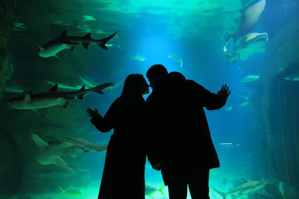 AquaRio: ¿Vale la Pena Visitar el Acuario Más Grande de Sudamérica? 4 Tubarão em um grande tanque de aquário