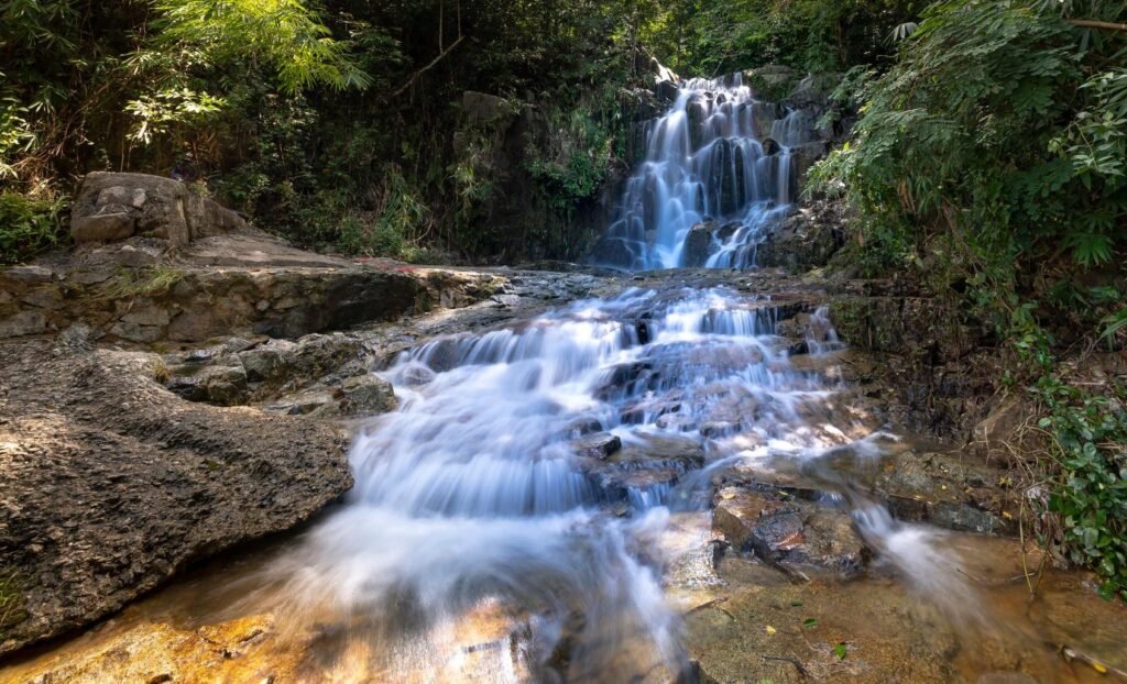 Cachoeiras da Floresta da Tijuca: o Guia Completo 7 Cachoeira cercada por vegetação tropical densa