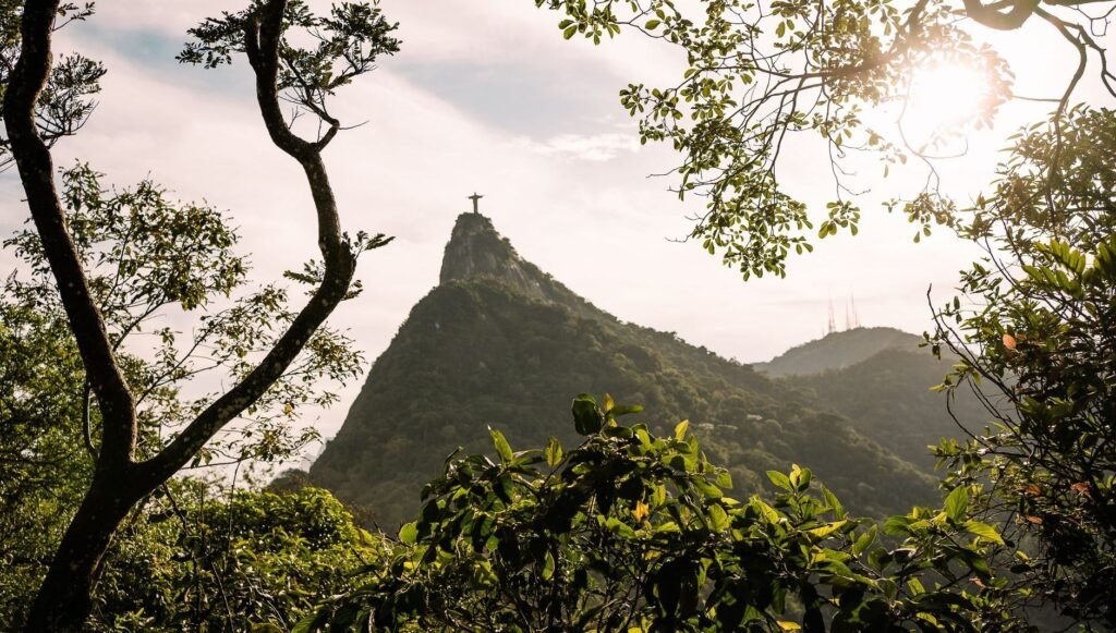 Itinéraire de 5 jours à Rio de Janeiro : Plages, Randonnées et Culture 5 Vista do Cristo Redentor emoldurado pela copa das árvores da Floresta da Tijuca no Rio de Janeiro